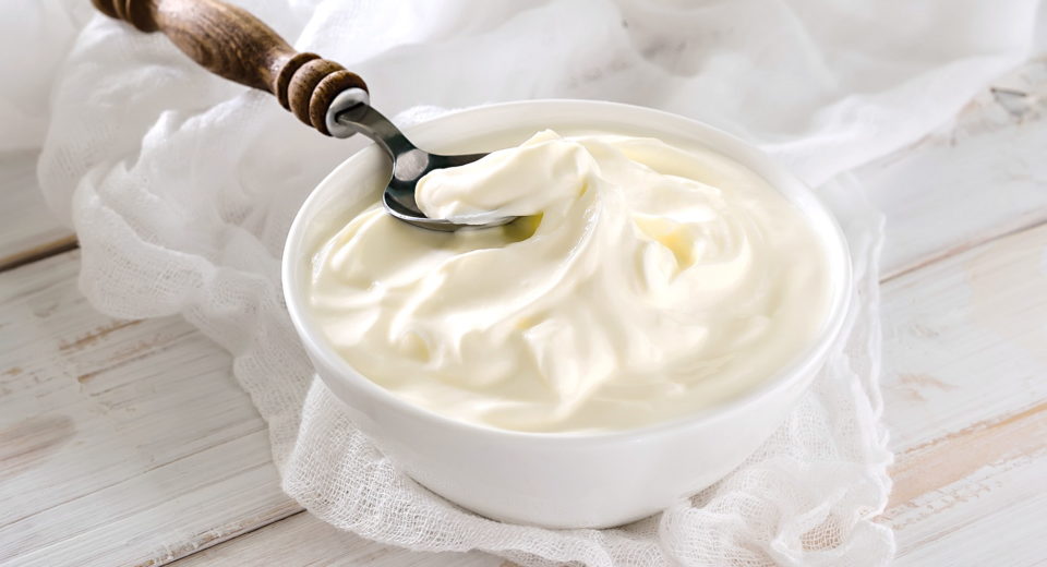 Quel ferment lactique utiliser pour faire du yaourt ? - Meilleure